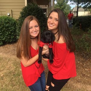 Meet your Posher, Allye