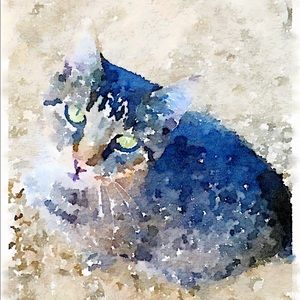 Meet your Posher, M a