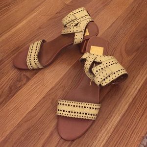 Dolce Vita sandals *never worn*
