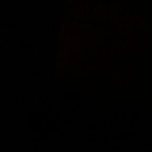 Meet your Posher, Darius