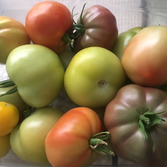 Meet your Posher, Stephanie - Picture 3 of 3