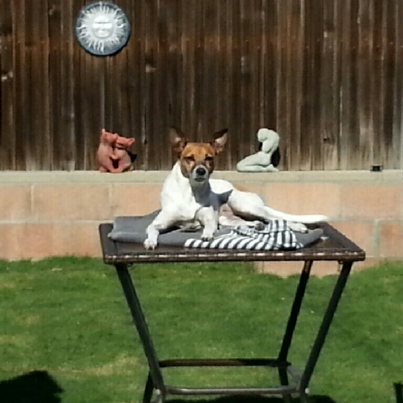 SWEET HAZEL - Picture 7 of 16