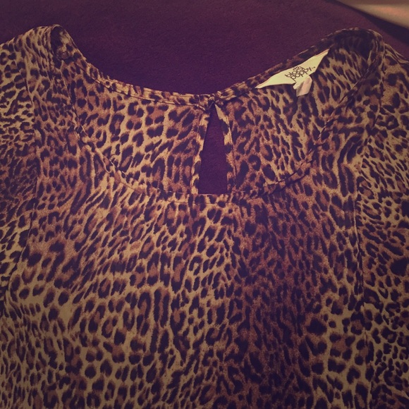 Black Poppy Sheer Cheetah Party Top - Picture 1 of 3