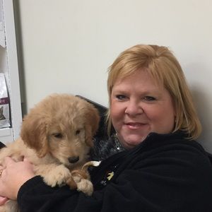 Meet your Posher, Tracey