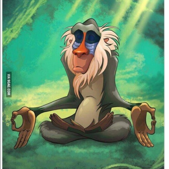 Meet your Posher, Derek - Picture 1 of 1