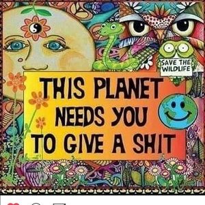 Meet your Posher, Johnna