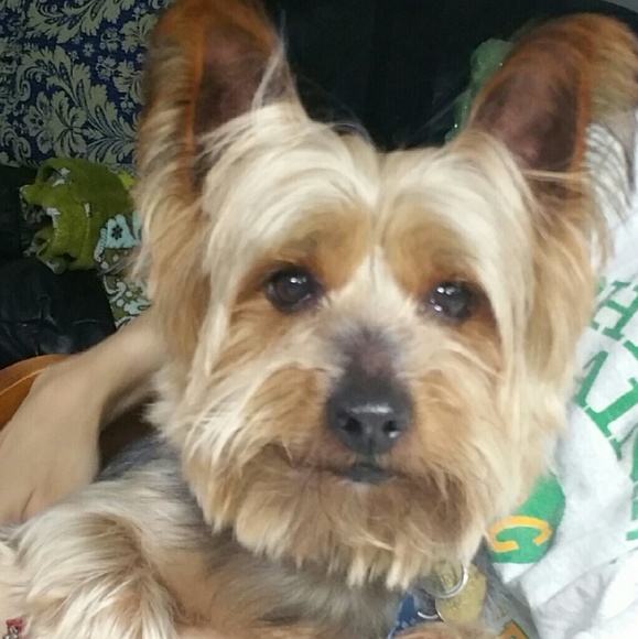 Meet your Posher, Karen - Picture 1 of 1