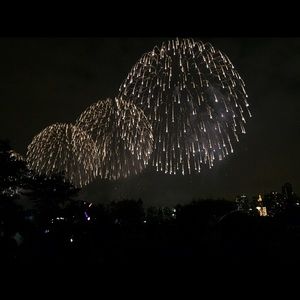 Meet your Posher, Katty