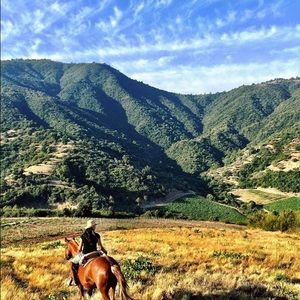 Meet your Posher, Janelle