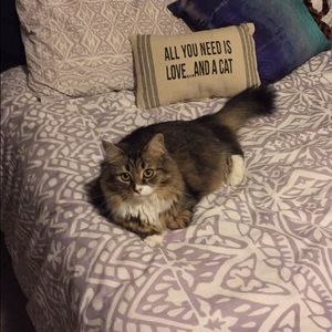 Meet your Posher, Savanna