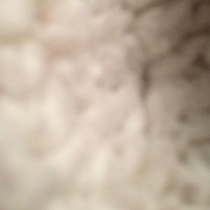 PINK Nation Beanie Maroon