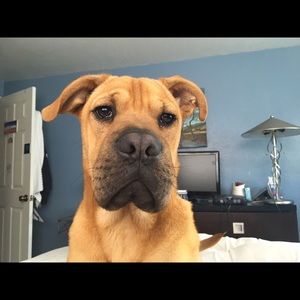 Meet your Posher, Spencer