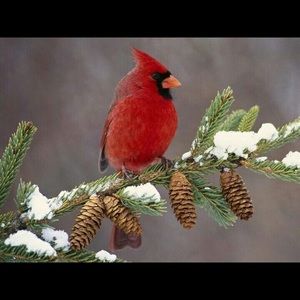 Meet your Posher, Patti