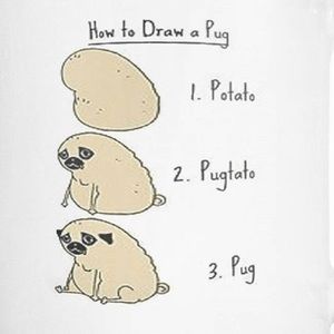 Meet your Posher, Mackenzie