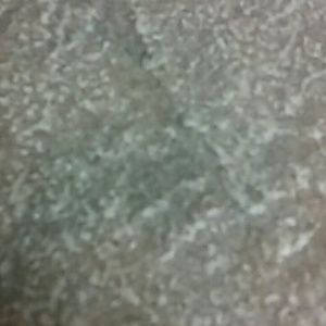 Meet your Posher, Teresa