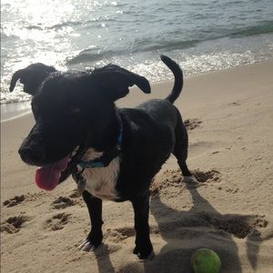 Meet your Posher, Meredith