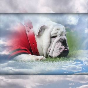 Meet your Posher, Anthony-jennifer