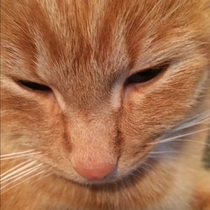 Meet your Posher, Kristie