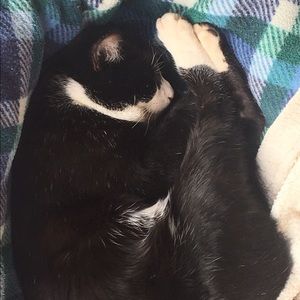 Meet your Posher, Darla