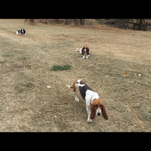 Meet your Posher, Cathy - Picture 2 of 3