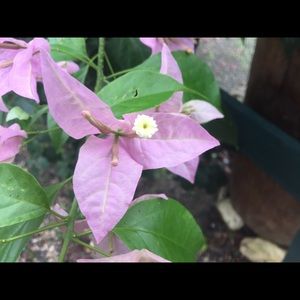 Meet your Posher, Debra