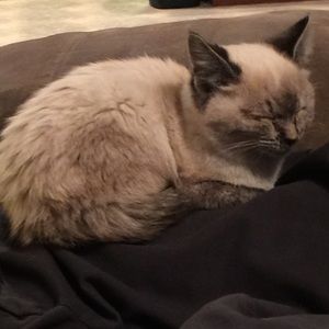 Meet your Posher, Christy