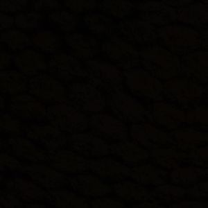 Meet your Posher, Wilma