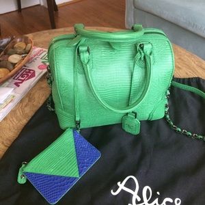 Alice and Olivia handbag.