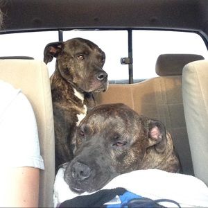 Meet your Posher, Ashtyn