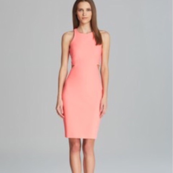 Elizabeth and James cut out dress