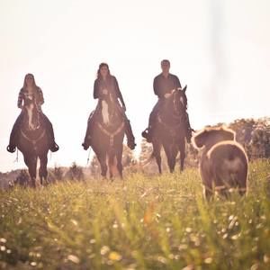 Meet your Posher, Jim n stacey