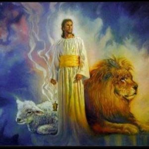 Meet your Posher, Sonja