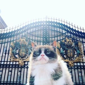 Meet your Posher, Celeste