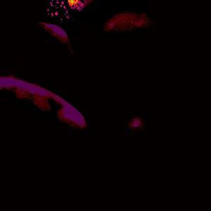 Meet your Posher, Devon