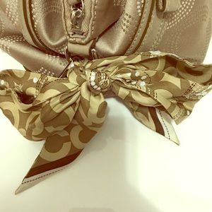 Sequin Coach Sash