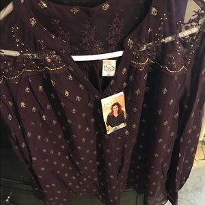 Plum Sheer top