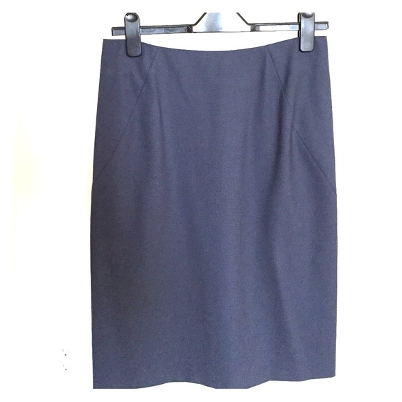 Theory Navy Pencil Skirt