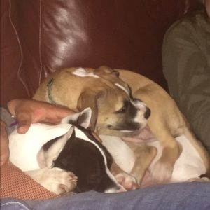 Meet your Posher, Nick