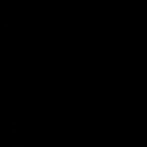 Meet your Posher, Talisha