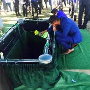 Meet your Posher, Hector