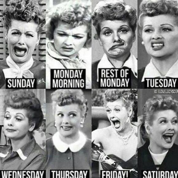 Meet your Posher, Holly - Picture 1 of 1