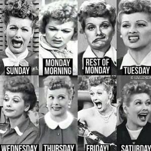 Meet your Posher, Holly