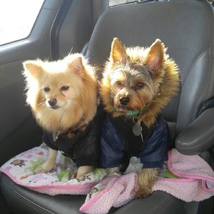 Meet your Posher, Veronica