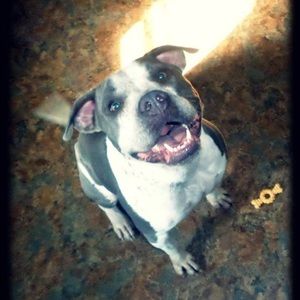 Meet your Posher, Carl