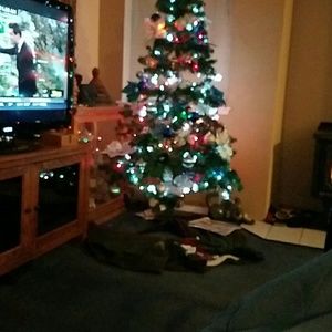 Meet your Posher, Charlene