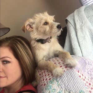 Meet your Posher, Dawn