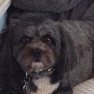 Meet your Posher, Drew