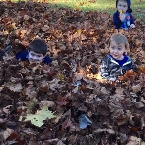 Meet your Posher, Jean