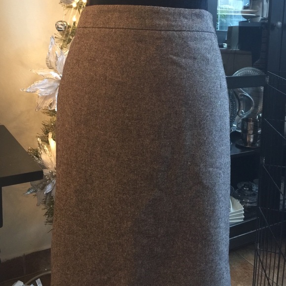 Ann Taylor skirt