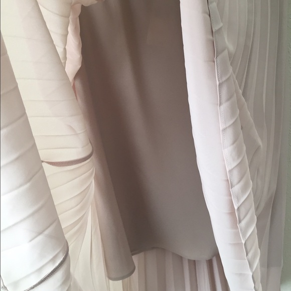 Sheer Nude Pleated Hi Lo Skirt - Picture 4 of 4